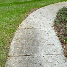 Professional-drive-way-pressure-washing-company-floral-city-Florida 4