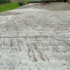 Professional-drive-way-pressure-washing-company-floral-city-Florida 2