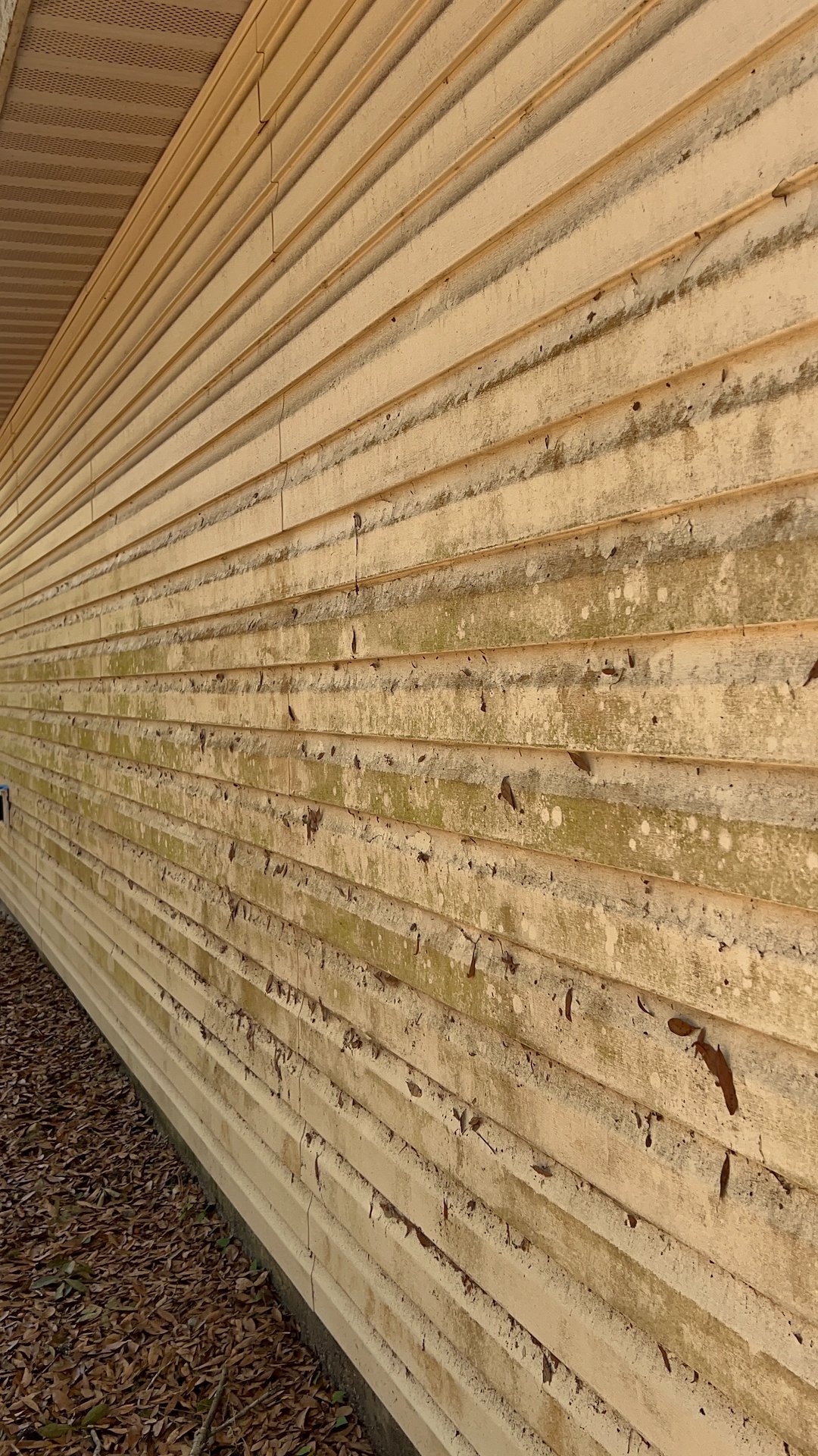 Top quality pressure washing in Spring Hill Florida Thumbnail