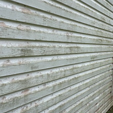 Top-quality-soft-washing-professionals-Brooksville-Florida 0