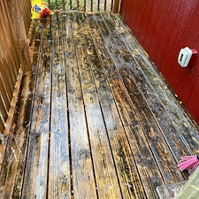Top-tier-power-washing-and-softwash-in-Floral-City-Florida 0